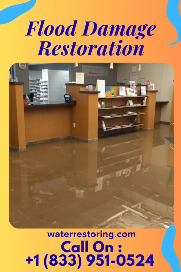 Flood Damage Restoration in Campo Bonito, AZ