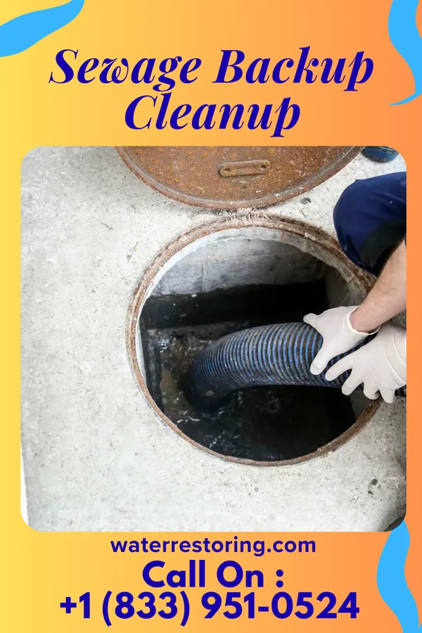 Sewage Backup Cleanup in Campo Bonito, AZ