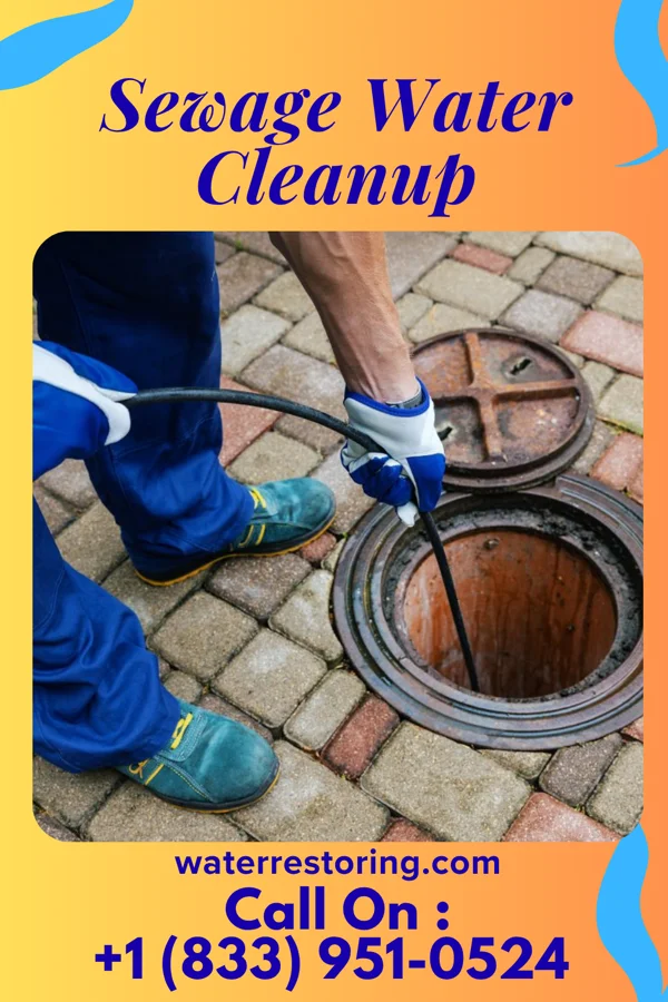 Sewage Water Cleanup in Campo Bonito, AZ